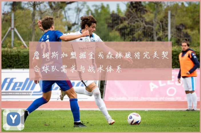 詹姆斯加盟掘金或森林狼将完美契合球队需求与战术体系