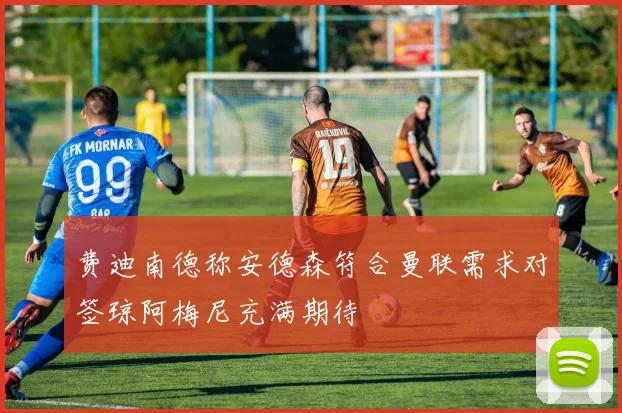 费迪南德称安德森符合曼联需求对签琼阿梅尼充满期待