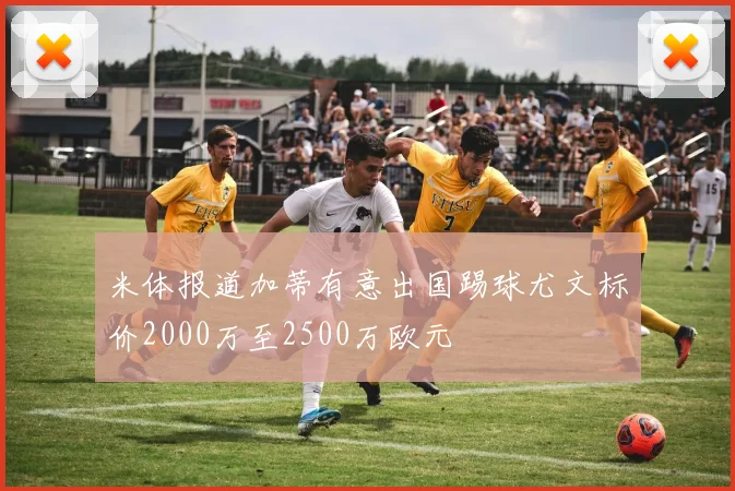 米体报道加蒂有意出国踢球尤文标价2000万至2500万欧元