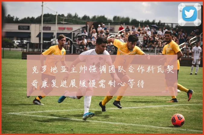 克罗地亚主帅强调团队合作科瓦契奇康复进展缓慢需耐心等待